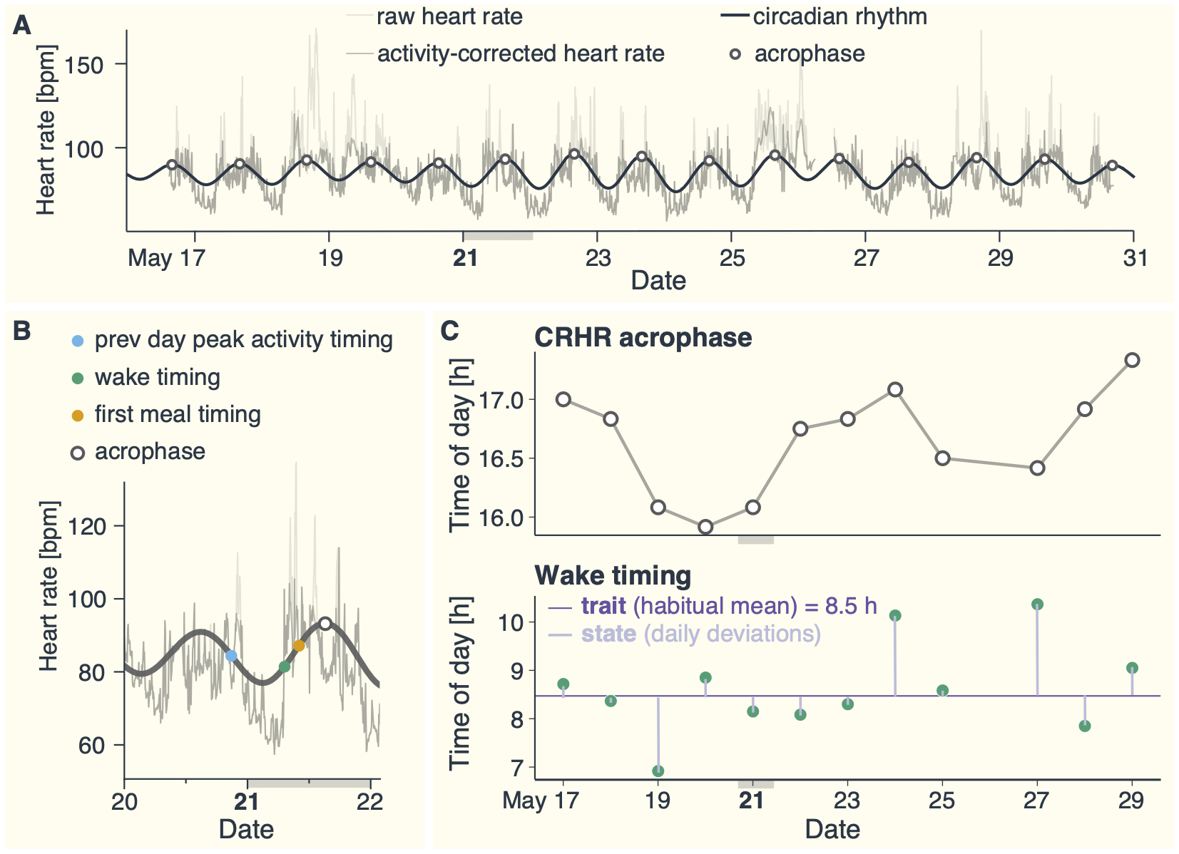 Habitual lifestyle timing explains circadian timing, but daily lifestyle changes do not, in free-living humans across 2000 days