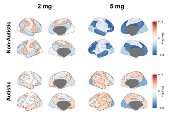 Distinct response of resting-state brain networks to psilocybin in autism